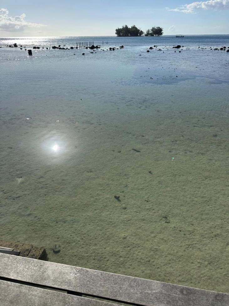 Villa Miri Miri - Bord De Mer Prive Tevaitoa Kültér fotó